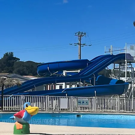 Mobile Exotique Appartement