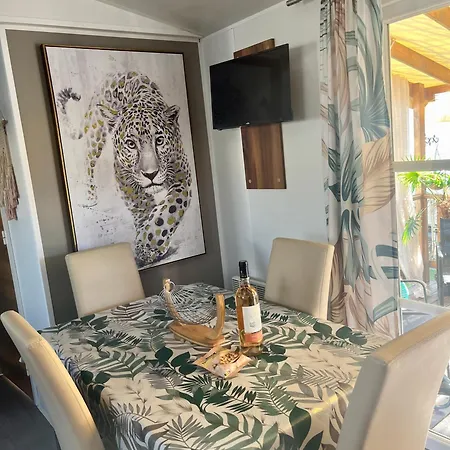 Mobile Exotique De 40 M2 *