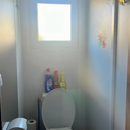 Mobile Exotique De 40 M2