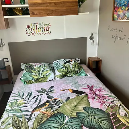 Mobile Exotique De 40 M2 *