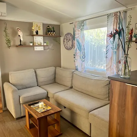 Mobile Exotique De 40 M2 Campsite *